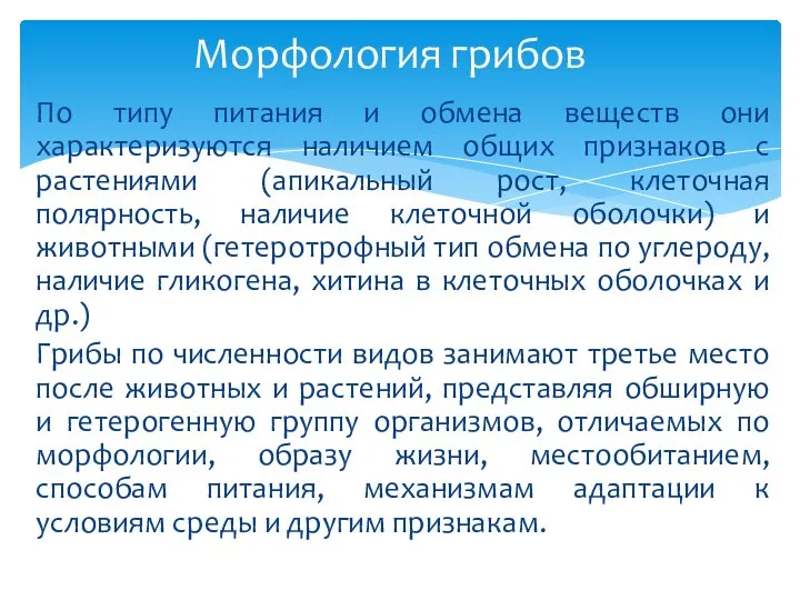 По типу питания и обмена веществ они характеризуются наличием общих признаков с