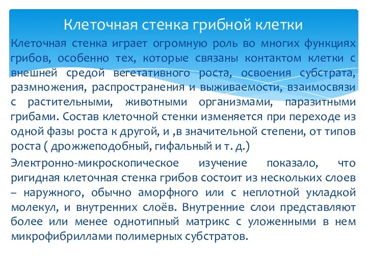 Клеточная стенка играет огромную роль во многих функциях грибов, особенно тех, которые