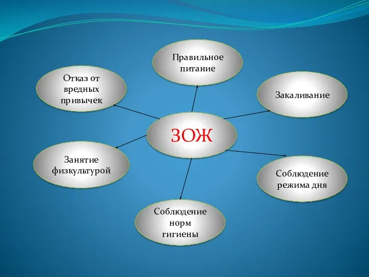 Отказ от вредных привычек ЗОЖ Закаливание Соблюдение режима дня Соблюдение норм гигиены Правильное питание Занятие физкультурой