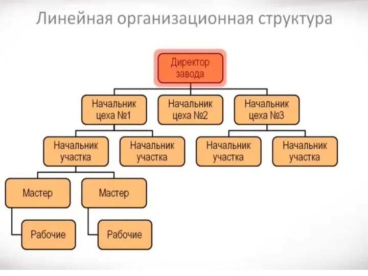 Линейная структура организации Область применения: предприятия с численностью до 300-500 человек с