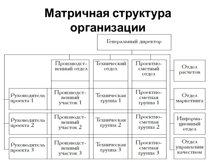 Матричная структура организации