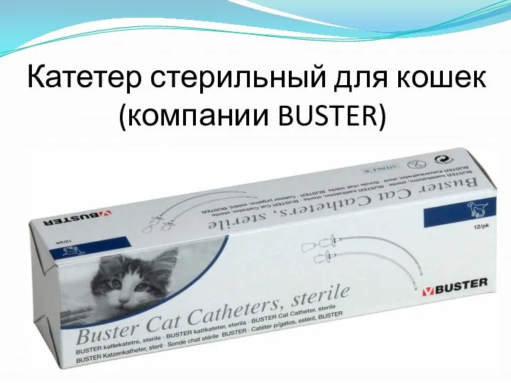 Катетер стерильный для кошек (компании BUSTER)