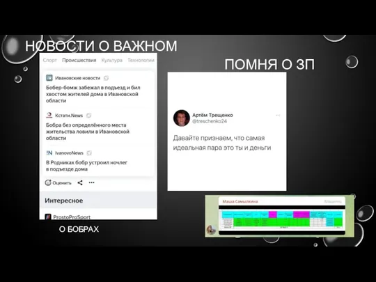 НОВОСТИ О ВАЖНОМ О БОБРАХ ПОМНЯ О ЗП