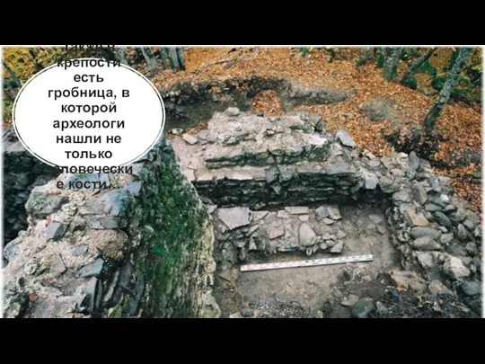 Также в крепости есть гробница, в которой археологи нашли не только человеческие кости…