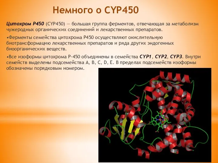 Немного о CYP450 Цитохром Р450 (CYP450) — большая группа ферментов, отвечающая за