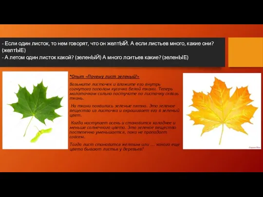 - Если один листок, то нем говорят, что он желтЫЙ. А если