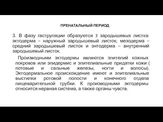 ПРЕНАТАЛЬНЫЙ ПЕРИОД 3. В фазу гаструляции образуются 3 зародышевых листка: эктодерма –