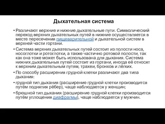 Дыхательная система Различают верхние и нижние дыхательные пути. Символический переход верхних дыхательных