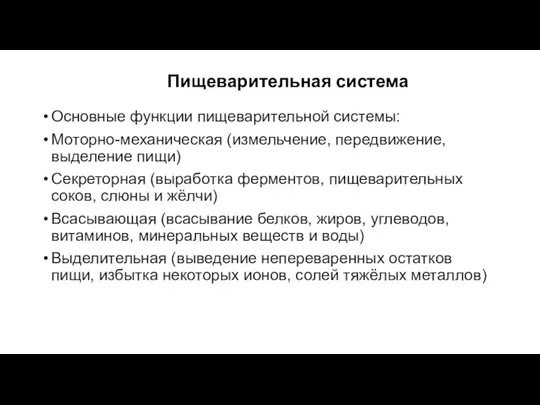 Пищеварительная система Основные функции пищеварительной системы: Моторно-механическая (измельчение, передвижение, выделение пищи) Секреторная