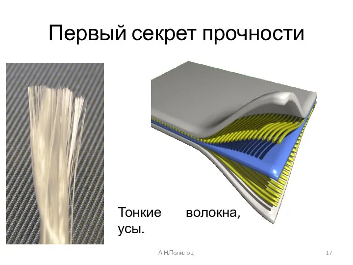 Первый секрет прочности А.Н.Полилов, Тонкие волокна, усы.