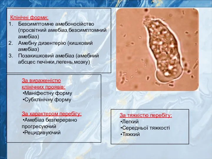 Клінічні форми: Безсимптомне амебоносійство (просвітний амебіаз,безсимптомний амебіаз) Амебну дизентерію (кишковий амебіаз) Позакишковий