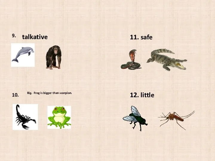 9. 10. talkative Big. Frog is bigger than scorpion. 11. safe 12. little