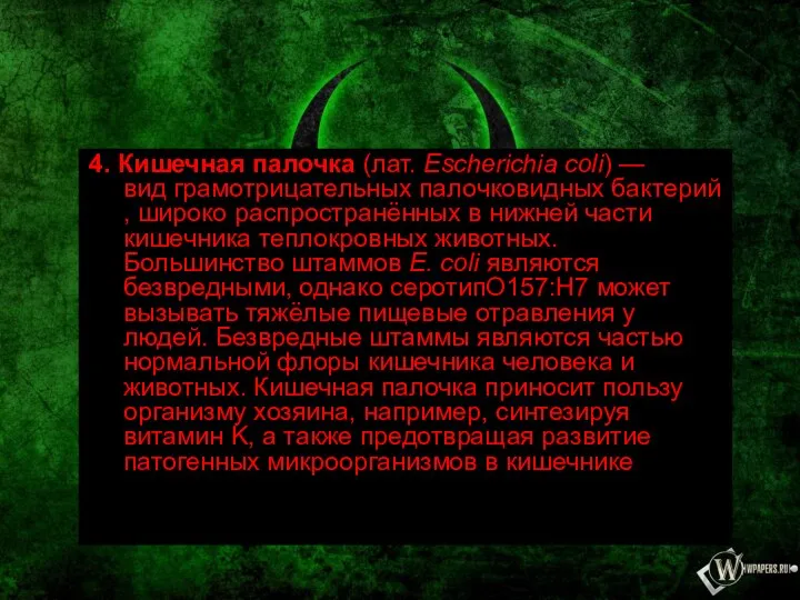 4. Кишечная палочка (лат. Escherichia coli) — вид грамотрицательных палочковидных бактерий, широко