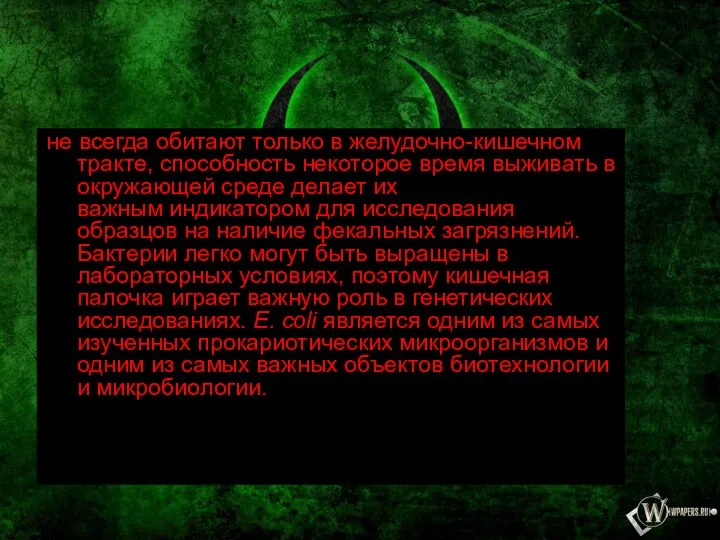 не всегда обитают только в желудочно-кишечном тракте, способность некоторое время выживать в