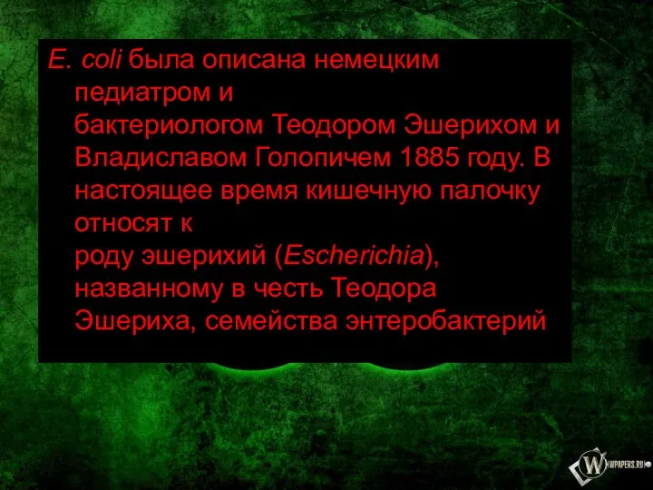 E. coli была описана немецким педиатром и бактериологом Теодором Эшерихом и Владиславом