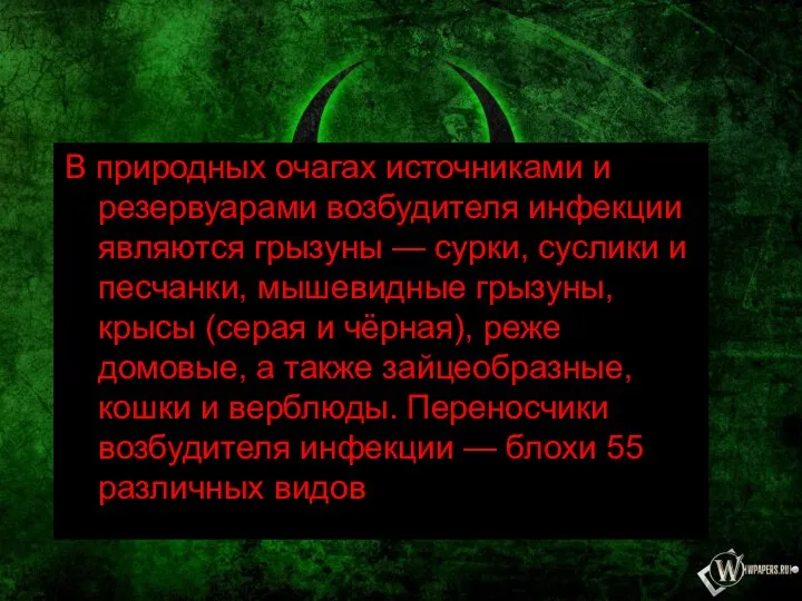 В природных очагах источниками и резервуарами возбудителя инфекции являются грызуны — сурки,