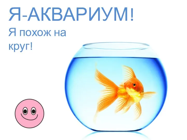 Я-АКВАРИУМ! Я похож на круг!