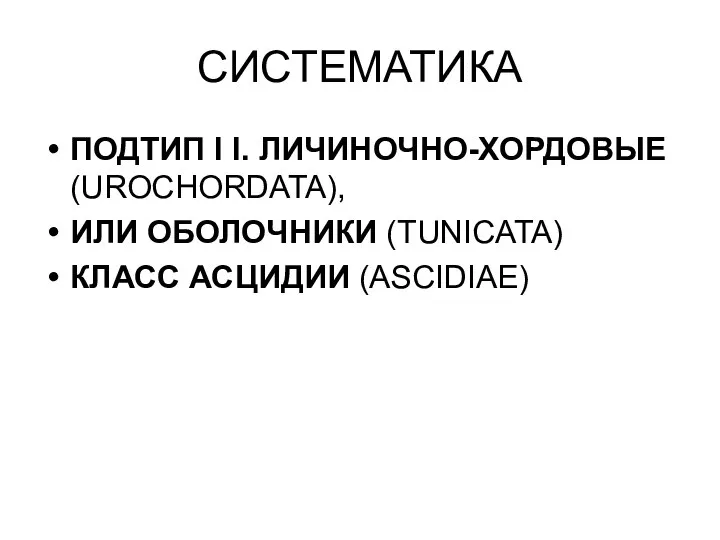 СИСТЕМАТИКА ПОДТИП I I. ЛИЧИНОЧНО-ХОРДОВЫЕ (UROCHORDATA), ИЛИ ОБОЛОЧНИКИ (TUNICATA) КЛАСС АСЦИДИИ (ASCIDIAE)