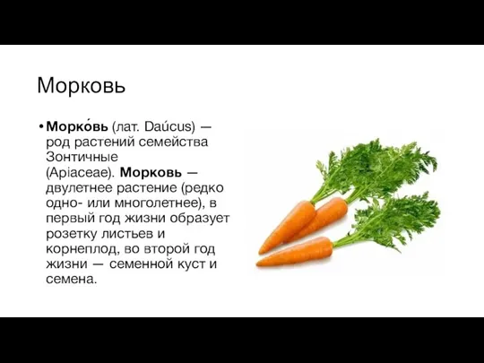 Морковь Морко́вь (лат. Daúcus) — род растений семейства Зонтичные (Apiaceae). Морковь —