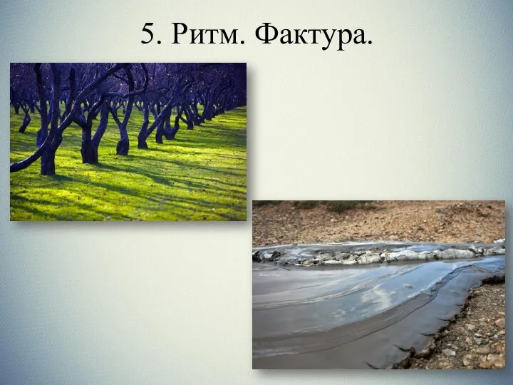 5. Ритм. Фактура.