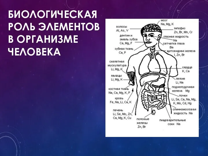 БИОЛОГИЧЕСКАЯ РОЛЬ ЭЛЕМЕНТОВ В ОРГАНИЗМЕ ЧЕЛОВЕКА