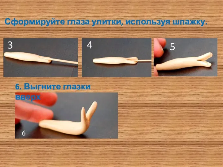 Сформируйте глаза улитки, используя шпажку. 5 6. Выгните глазки вверх