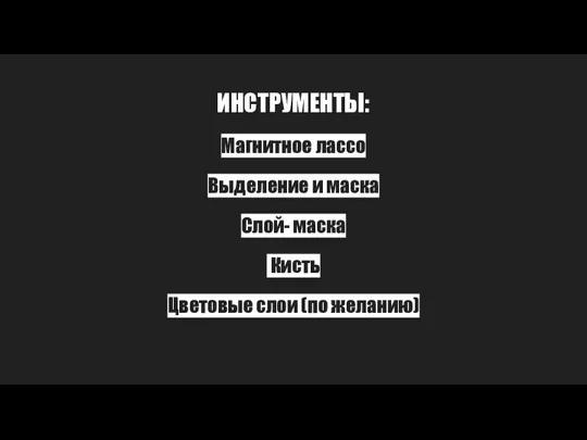 ИНСТРУМЕНТЫ: Магнитное лассо Выделение и маска Слой- маска Кисть Цветовые слои (по желанию)