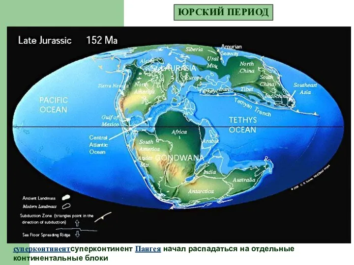 ЮРСКИЙ ПЕРИОД суперконтинентсуперконтинент Пангея начал распадаться на отдельные континентальные блоки