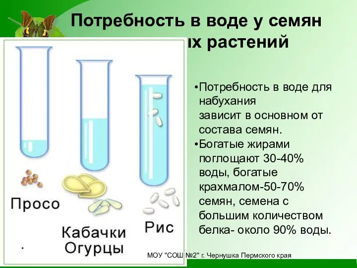 Потребность в воде у семян различных растений Потребность в воде для набухания