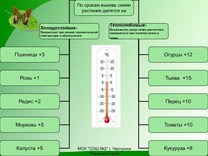 МОУ "СОШ №2" г. Чернушка Пермского края