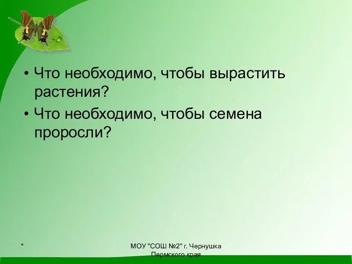 Что необходимо, чтобы вырастить растения? Что необходимо, чтобы семена проросли? * МОУ