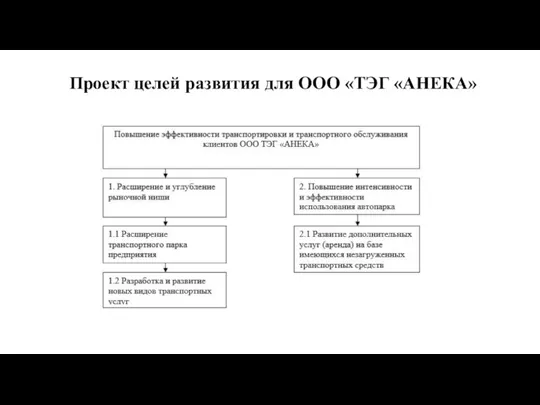 Проект целей развития для ООО «ТЭГ «АНЕКА»