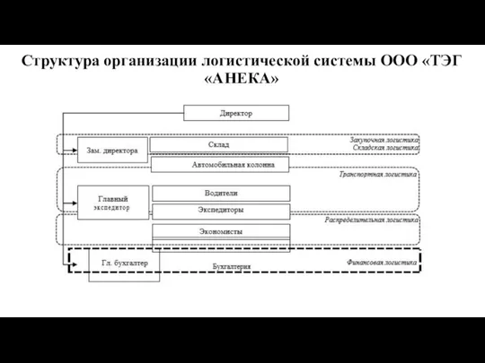 Структура организации логистической системы ООО «ТЭГ «АНЕКА»