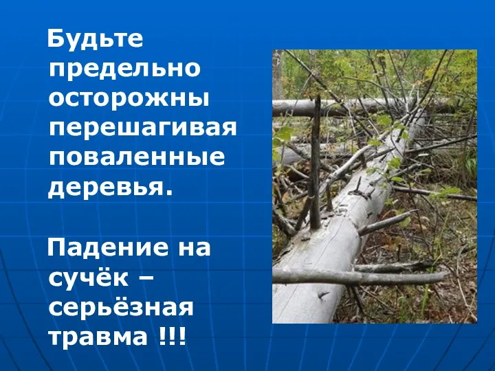 Будьте предельно осторожны перешагивая поваленные деревья. Падение на сучёк – серьёзная травма !!!