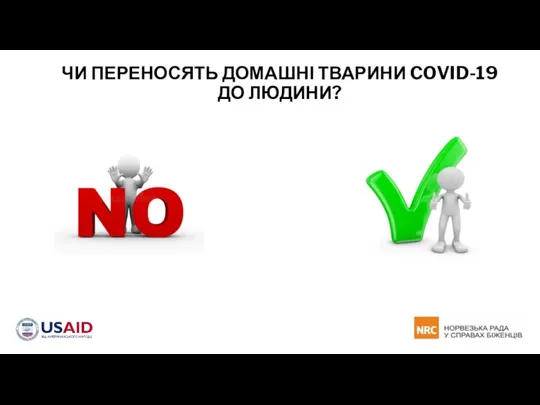 ЧИ ПЕРЕНОСЯТЬ ДОМАШНІ ТВАРИНИ COVID-19 ДО ЛЮДИНИ?