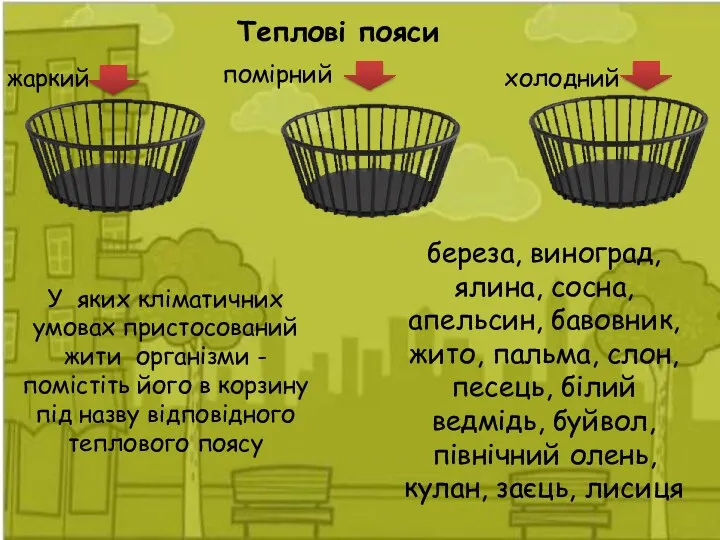 Теплові пояси береза, виноград, ялина, сосна, апельсин, бавовник, жито, пальма, слон, песець,