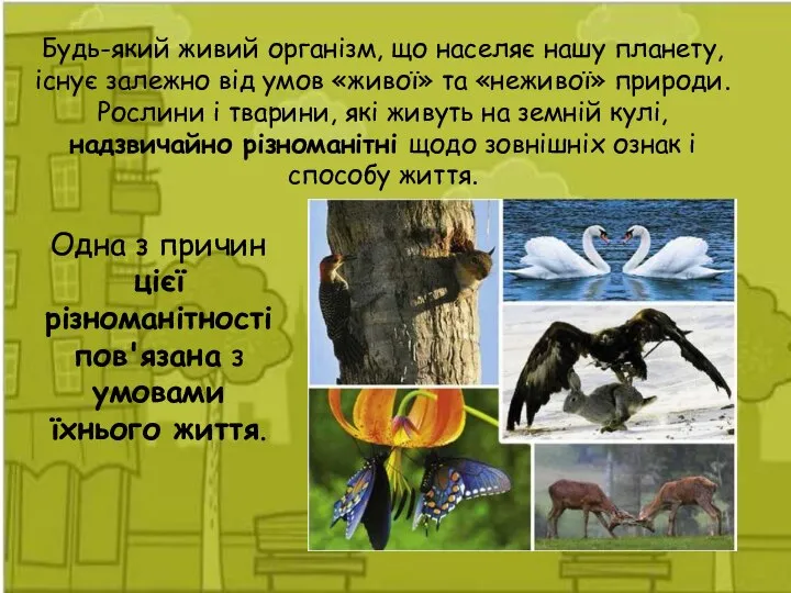 Будь-який живий організм, що населяє нашу планету, існує залежно від умов «живої»