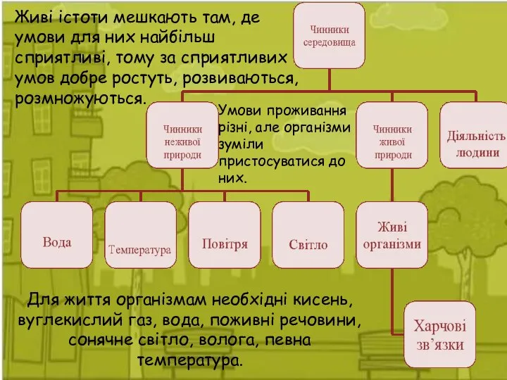 Умови проживання різні, але організми зуміли пристосуватися до них. Для життя організмам