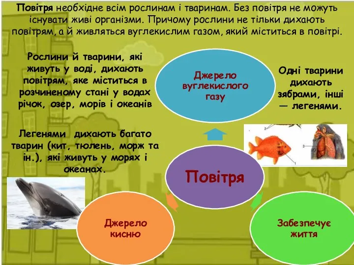 Повітря необхідне всім рослинам і тваринам. Без повітря не можуть існувати живі