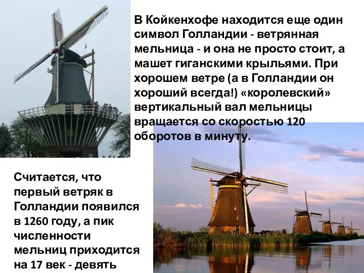 В Койкенхофе находится еще один символ Голландии - ветрянная мельница - и