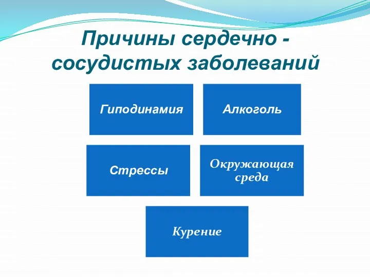 Причины сердечно - сосудистых заболеваний