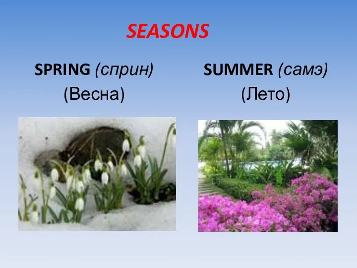 SEASONS SPRING (сприн) (Весна) SUMMER (самэ) (Лето)