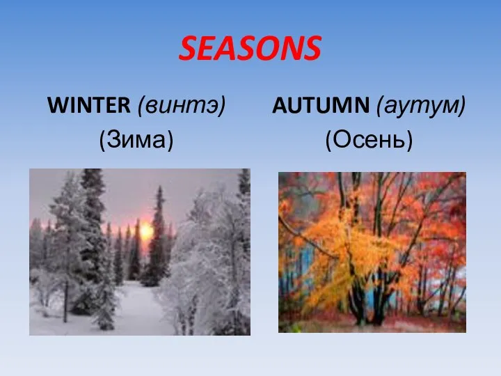 SEASONS WINTER (винтэ) (Зима) AUTUMN (аутум) (Осень)