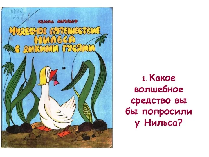 1. Какое волшебное средство вы бы попросили у Нильса?