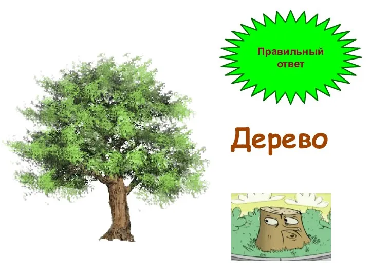 Правильный ответ Дерево