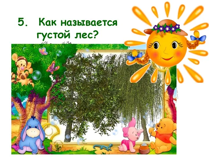 5. Как называется густой лес?