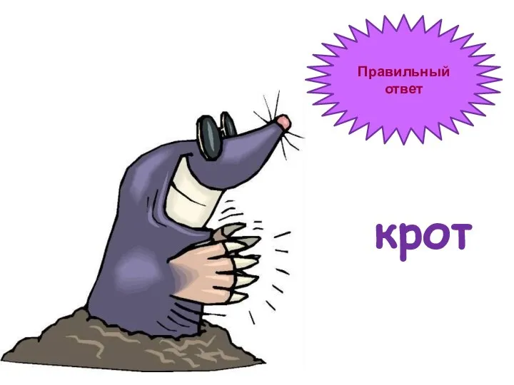 Правильный ответ крот