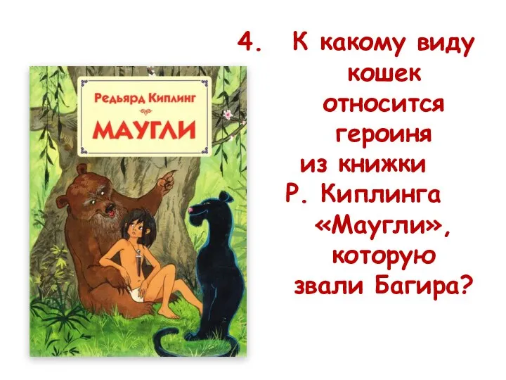 К какому виду кошек относится героиня из книжки Р. Киплинга «Маугли», которую звали Багира?