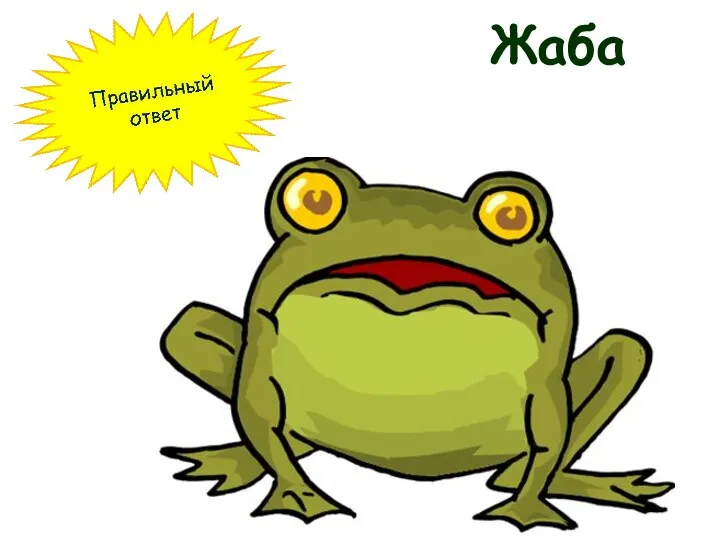 Жаба