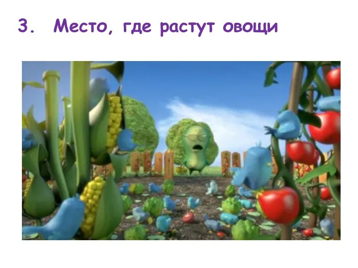 3. Место, где растут овощи